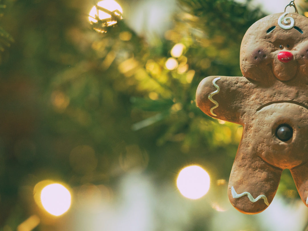 Taking the light to the holiday blues