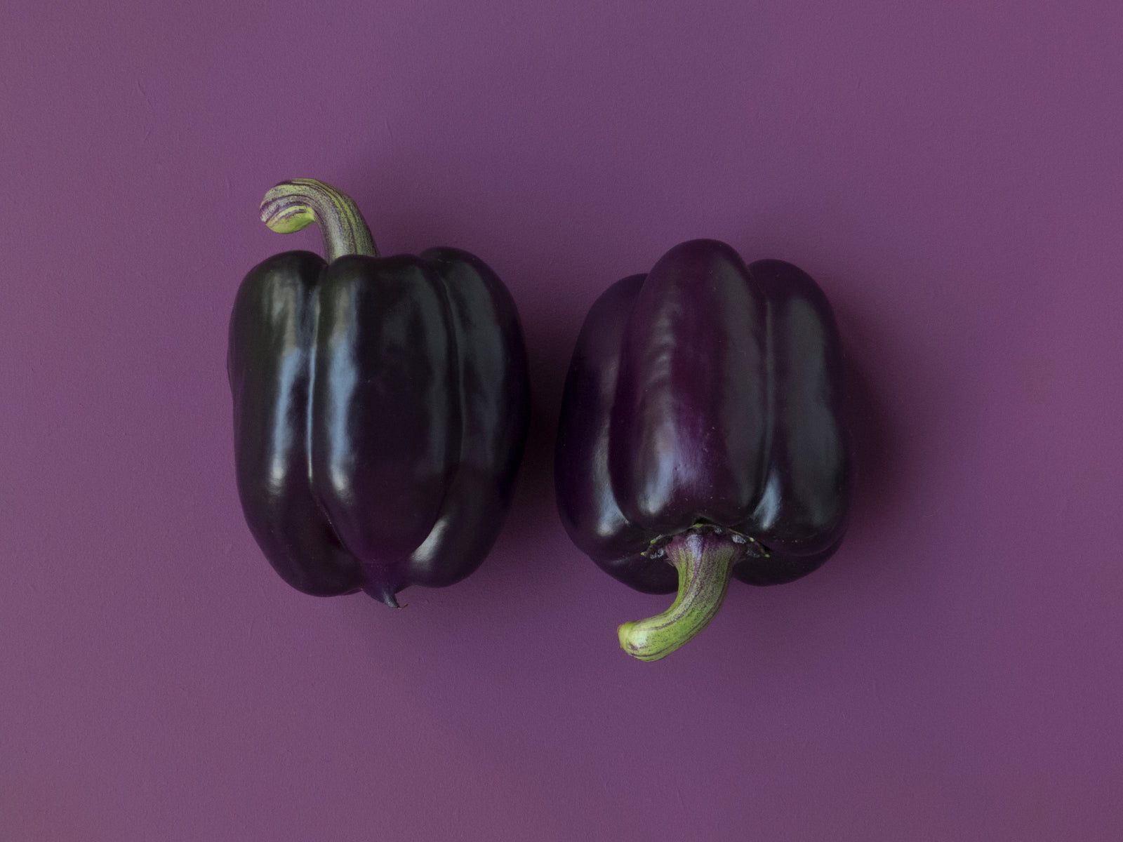 Creating Healthy Eating Habits for Your Kids