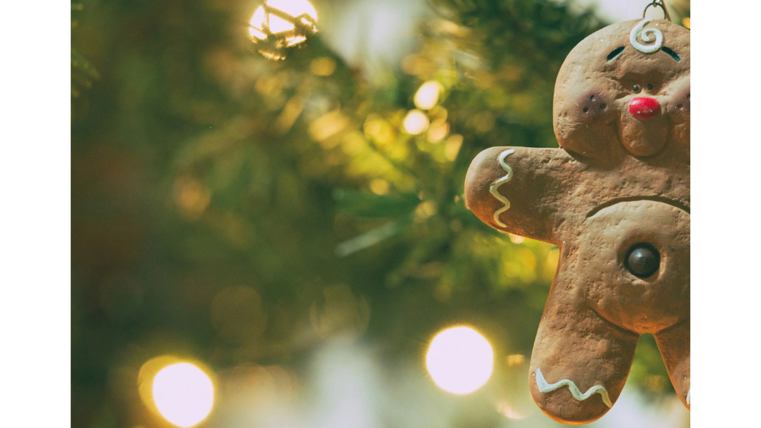 Taking the light to the holiday blues