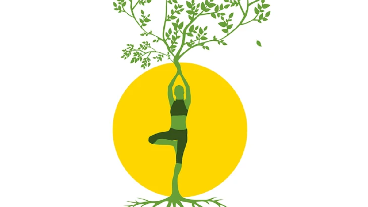 Ancient Energy & Modern Balance – By Marissa Fatica